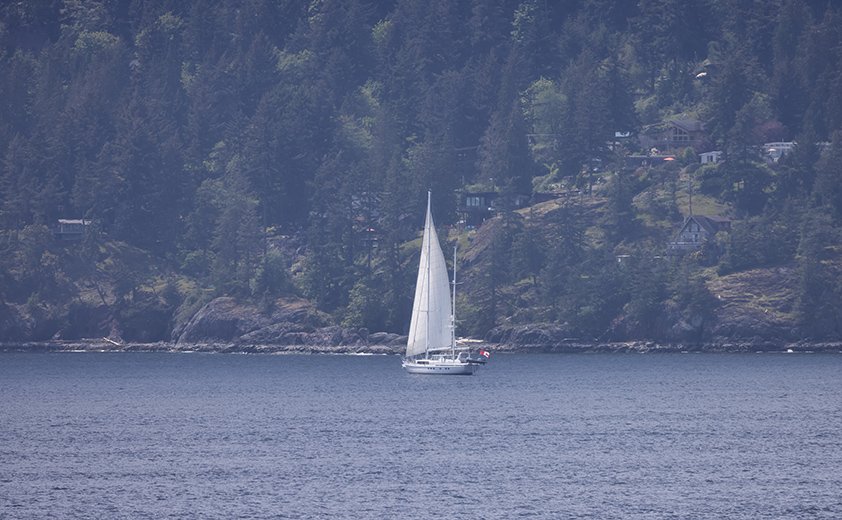 Copa América de vela