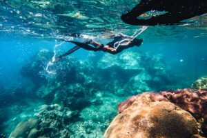 mejores destinos buceo