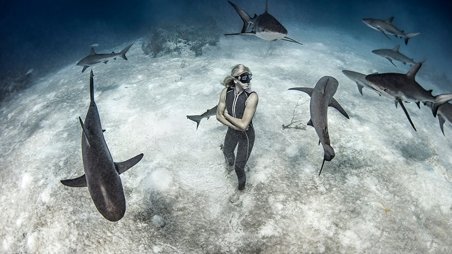 buceo libre