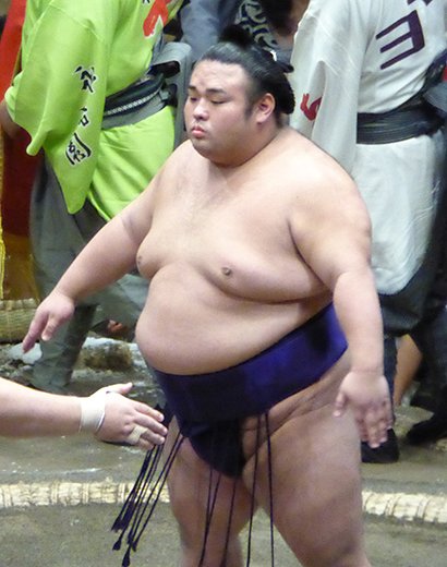 sumo ranking